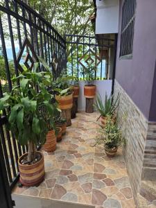 apartment in Socorro, Santander