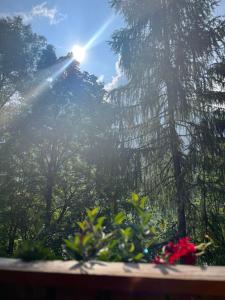 Appartamento Lagazuoi nel cuore delle Dolomiti