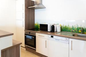 TOP! Gemütliches Studio-Apartment zentral, WLAN, Küche