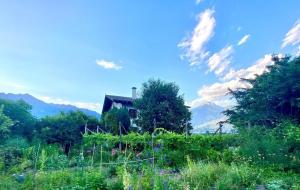 Appartement Primula - Haus Midi