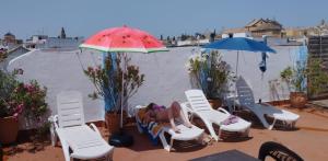 My Andalusian Passion Mi Pasion Andalusi