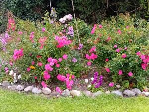 ONeills Self Catering Cottage- close to Cashel