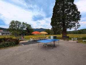 Maisons de vacances Maison spacieuse avec SPA, nature & calme dans les Vosges - FR-1-589-757 : photos des chambres