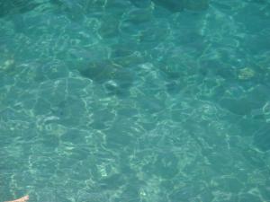 Un sogno chiamato Ravello