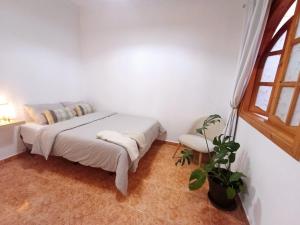 Guesthouse El arca de Noé