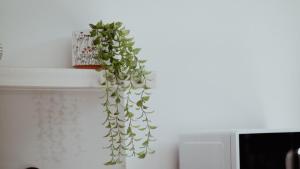 Genta Villa Ubud, Great location