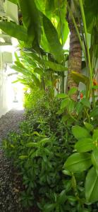 De Jantux Private pool Villa