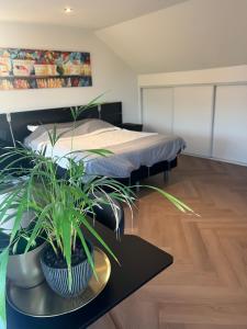 Ruime slaap kamer met werkplek en privé badkamer bij Jacqueline