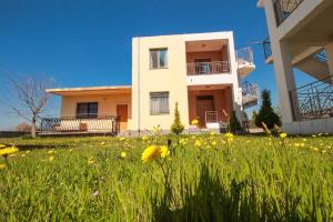 Apartment Apartments Velipoja Velipojë Albania