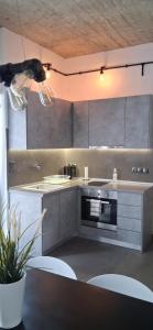 Dimitrios Loft Apartment