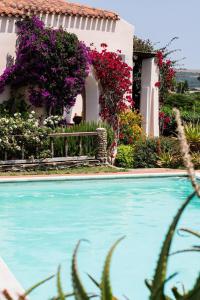 Villa Rosa - Piscina privata img2
