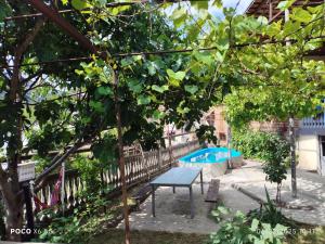 Shotas Guest House