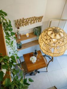 Appartements L'Oxalis villa (Le Cocon) : photos des chambres