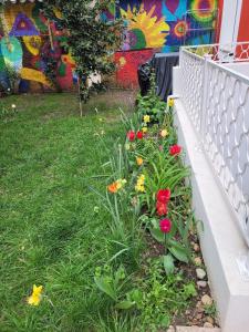 Appartements Peaceful haven with garden and pool : photos des chambres