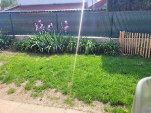 Appartements Peaceful haven with garden and pool : photos des chambres
