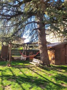 Appartements Peaceful haven with garden and pool : photos des chambres