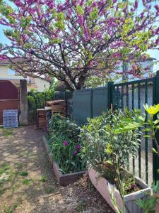 Appartements Peaceful haven with garden and pool : photos des chambres