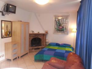 Modern studio with garden