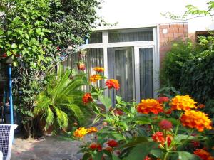 Modern studio with garden