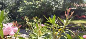 Karádi-Berger Vendégház