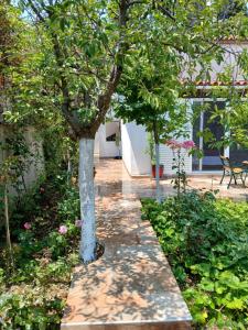 Saint Anna Country House.