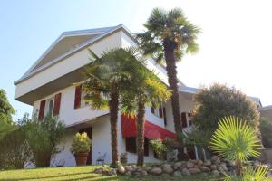 BF SUITE Foresteria Bellusci