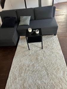 Stylish 2BR &1LR Apt, Prime Belgian Location