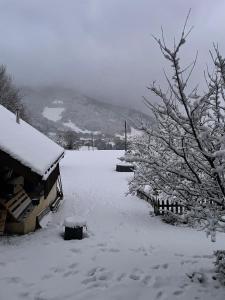Maisons de vacances Mazot en Abondance : photos des chambres