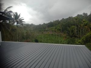 Green Fields Inn