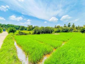 Fieldscape 9 Full APT