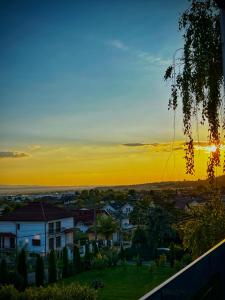 Panoramic Blue