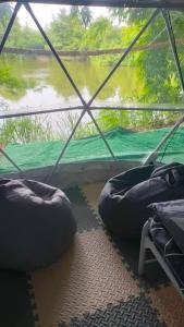 สวนบ้านเราแคมป์ Our Garden Camp