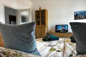 Apartment in the city center with PANORAMIC VIEW over the Lake and Verbania