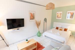 Appartements Le Panama - 5 min du centre, 500m2 de jardin : photos des chambres