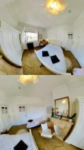 Calm, green & birdsong near the city center