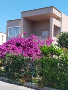 Cinzia House
