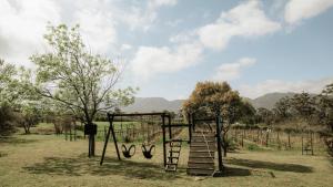 13 Olives, Entire Grape & Olive Estate, Somerset West by Euphoric Leisure