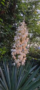 Ons huisje "Bienvenidos" met garage