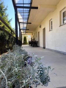 Dom Wczasowy Aleksandra