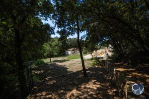 Maisons de vacances Charming house near Uzes : photos des chambres
