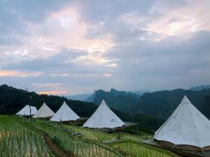 Sunrise Ha Giang Camping An Introspective Stay