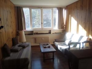 Appartements Joli studio aux pieds des pistes : photos des chambres