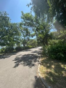 Sofiya Luxury Apartment