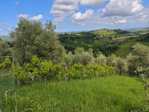 CASA DORIS Montecarotto, Le Marche - Top Lage, Glasfaser WIFI, neu renoviert