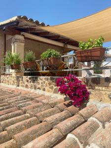 Domo Fadda Loculi img26