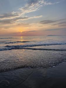 Studio-apartments, rooms with kitchen