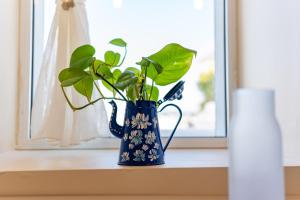 Cross views city, sea