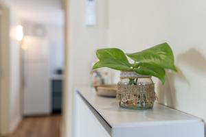 Cross views city, sea