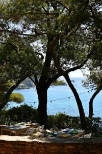 Hotels Hotel Le Provencal - Renove en 2025 - Bord de Mer : photos des chambres