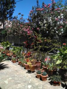 Aparthotel Iliahtides Evia Greece